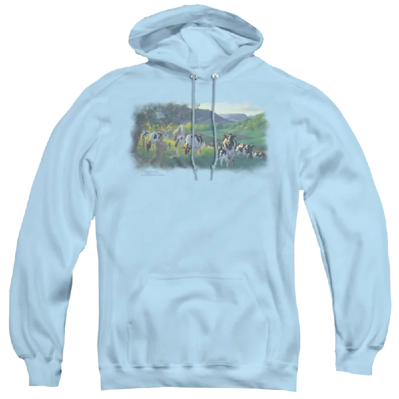 zip-up hoodie for gymWild Wings Gods Country - Pullover Hoodie