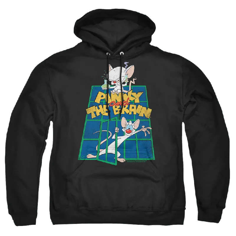 warm pullover hoodiePinky And The Brain Ol Standard - Pullover Hoodie