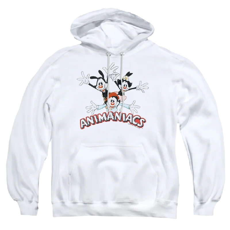 zip-up hooded sweatshirtAnimaniacs Animaniacs Trio - Pullover Hoodie