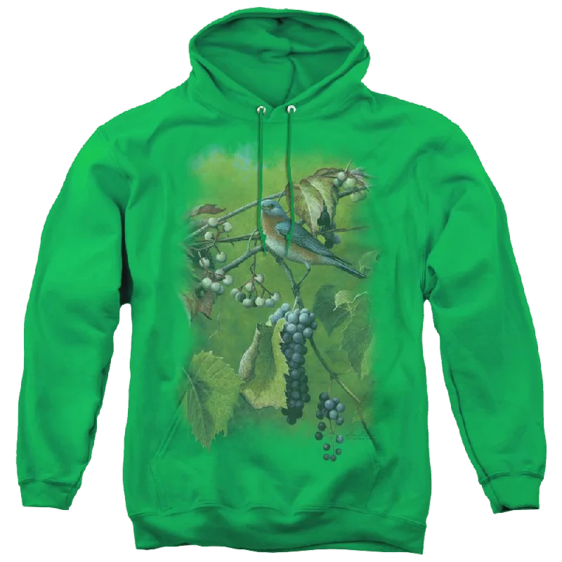 graphic hoodieWild Wings Summertime Estrn Bluebird - Pullover Hoodie